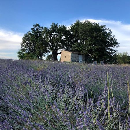 Cabanon Du Berger Villa Saignon Buitenkant foto